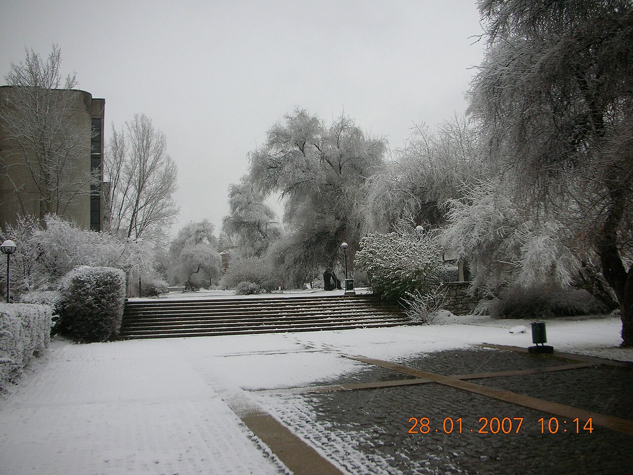 Trecho de um campus coberto de neve, com uma escadaria baixa, árvores brancas de gelo e um prédio de concreto à esquerda.